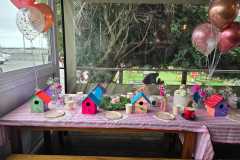 Birdhouse-Party-2-Laser-Fection-min