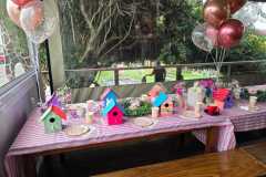 Birdhouse-Party-Laser-Fection-min